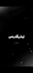 مداحی نبض قلب من نامرتبه با صدای کربلایی محمود عیدانیان مداحی نبض قلب من نامرتبه