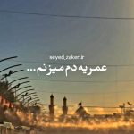 مداحی عمریه دم میزنم که دیوونه ی توام با نوای سیدجواد ذاکر و حمید علیمی مداحی عمریه دم میزنم که دیوونه ی توام با نوای سیدجواد ذاکر و حمید علیمی
