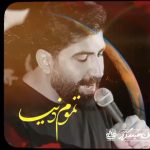 مداحی تموم دنیا پیش تو آقا با صدای کربلایی رسول برنا مداحی تموم دنیا پیش تو آقا با صدای کربلایی رسول برنا