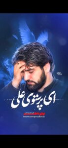 مداحی ای پرستوی علی پر مزن ز خانه ام با صدای کربلایی سید جواد ذاکر مداحی ای پرستوی علی پر مزن ز خانه ام