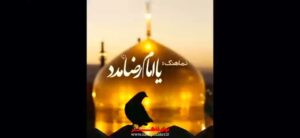 مداحی آقا جون سر از من و سروری از تو با نوای کربلایی سید مجید بنی فاطمه مداحی آقا جون سر از من و سروری از تو